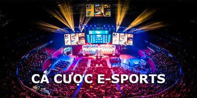 Các loại hình trò chơi trong cá cược Esport rất đa dạng