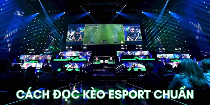 Đọc kèo esport chấp