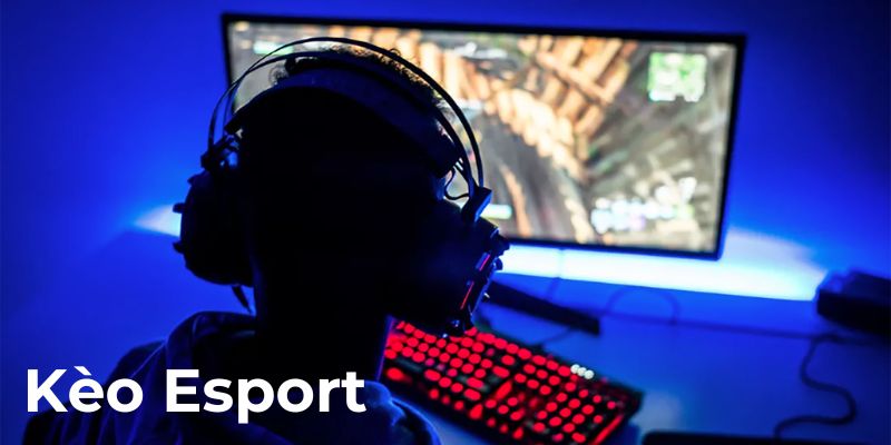 Cách đọc kèo esport chuẩn với các chuyên gia