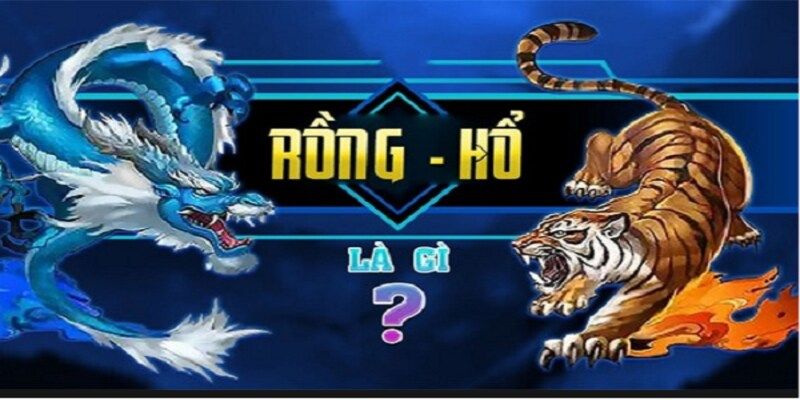 Tìm hiểu về game rồng hổ là gì? 